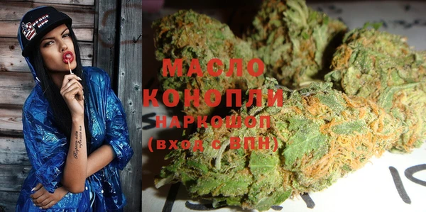 индика Краснотурьинск