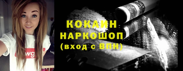 индика Краснотурьинск