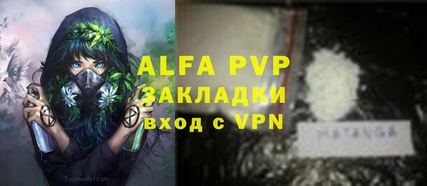индика Краснотурьинск