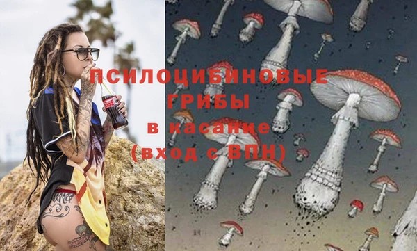индика Краснотурьинск