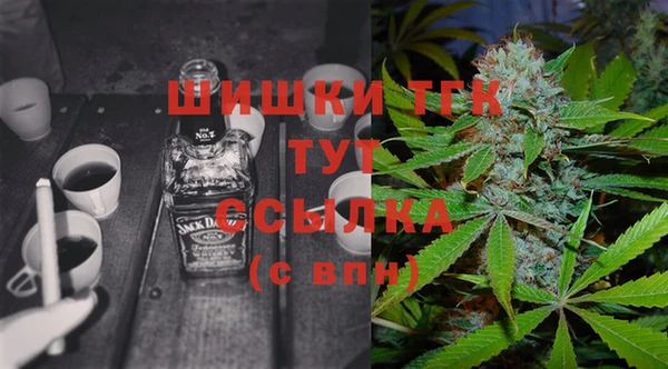 индика Краснотурьинск