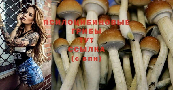 альфа пвп Рославль