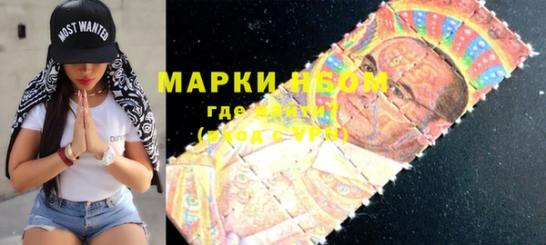 индика Краснотурьинск