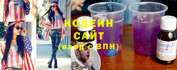 индика Краснотурьинск