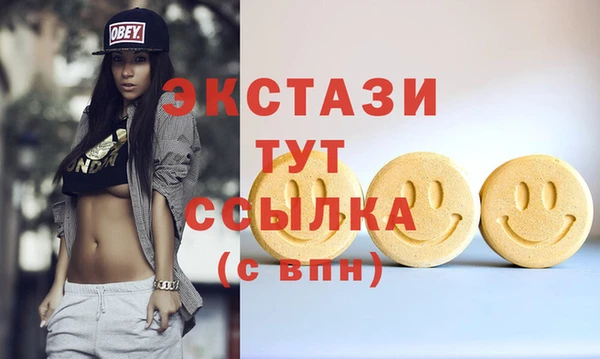 индика Краснотурьинск