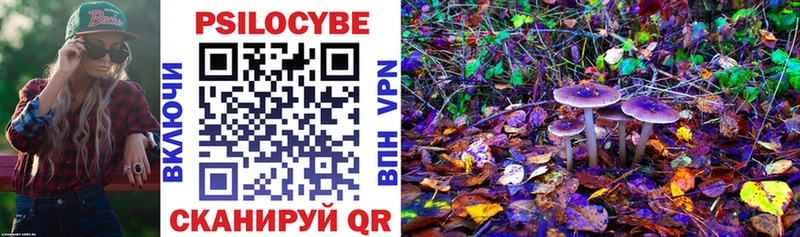 Псилоцибиновые грибы мицелий  где можно купить наркотик  Сысерть 